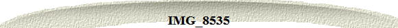 IMG_8535